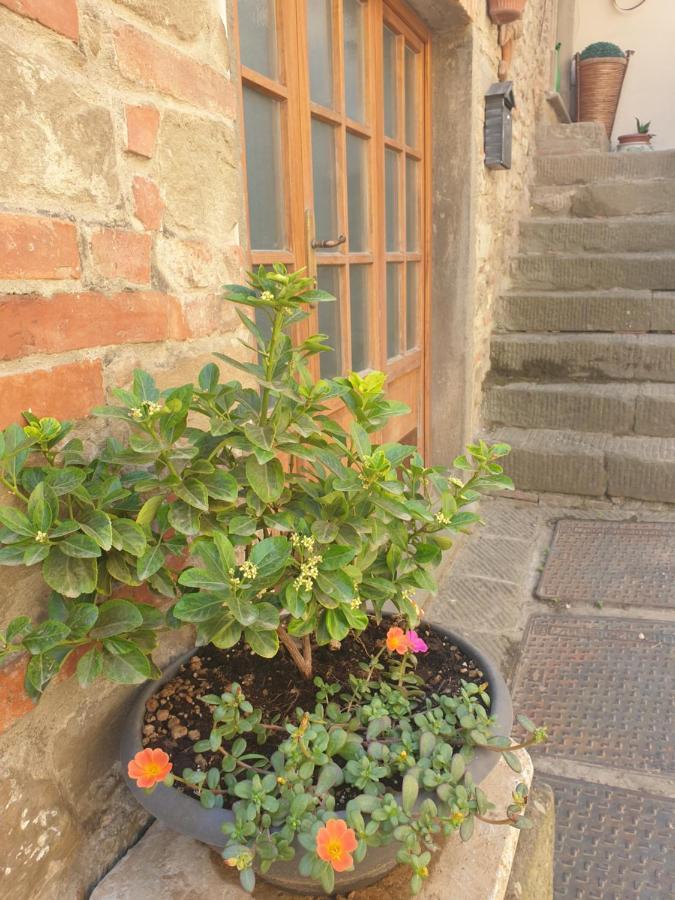 Helga'S House- Una Finestra Sul Borgo Ambra 外观 照片